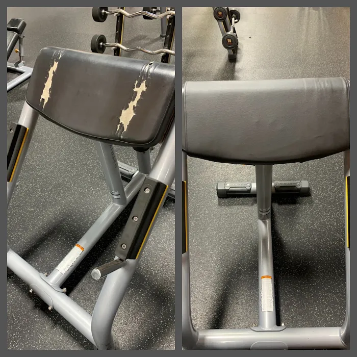 The Zoo Health Club- Epping NH Picture 10