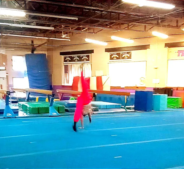 Tri-Star Gymnastics Picture 5