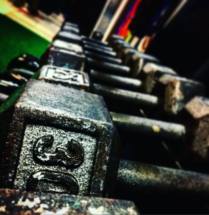 Bear Essentials Fitness Picture 3