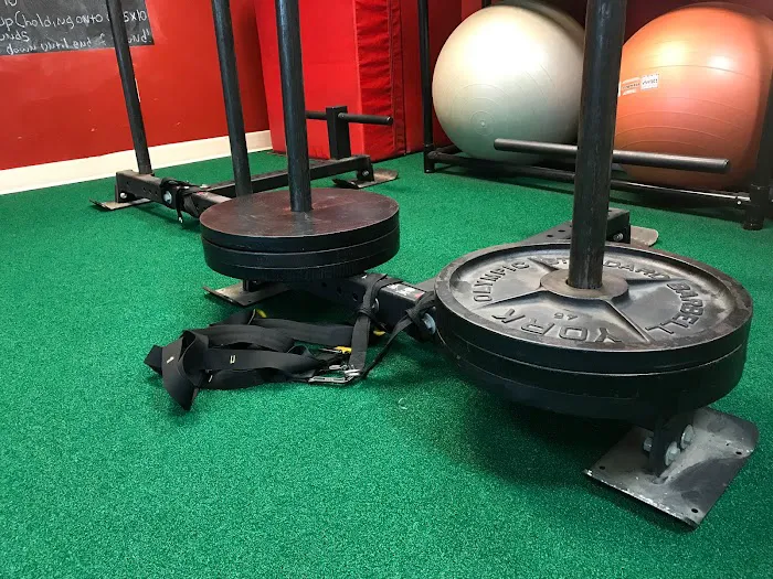 Bear Essentials Fitness Picture 10