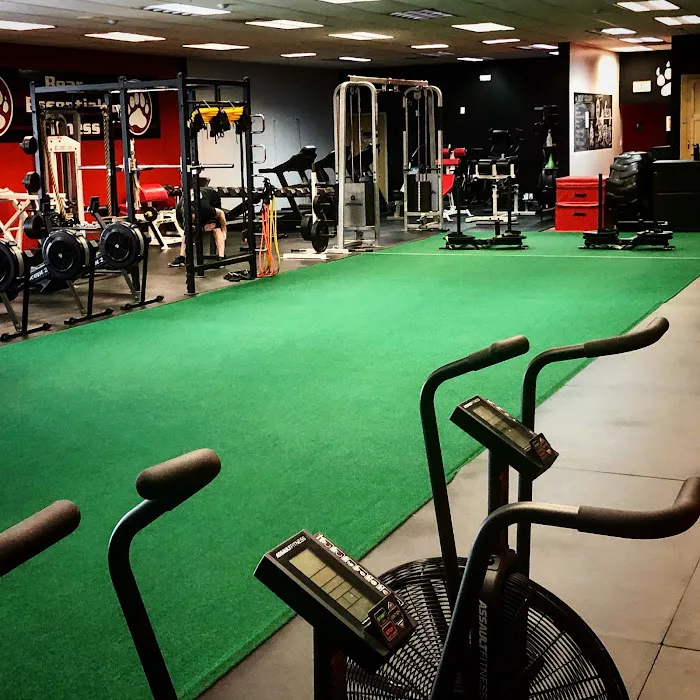 Bear Essentials Fitness Picture 5