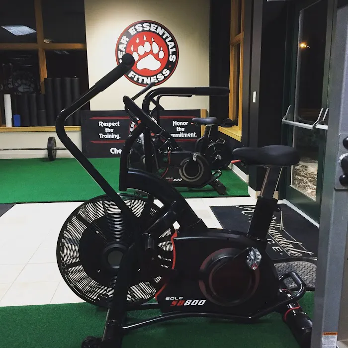Bear Essentials Fitness Picture 6