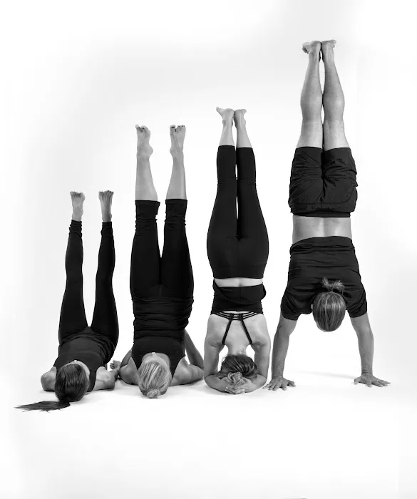 Align Chiropractic Picture 6