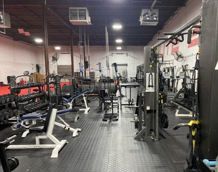 Elite Edge Fitness & Wellness Picture 1