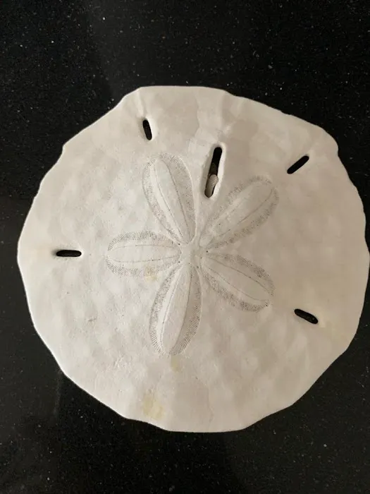 Total Practice Yoga Picture 1