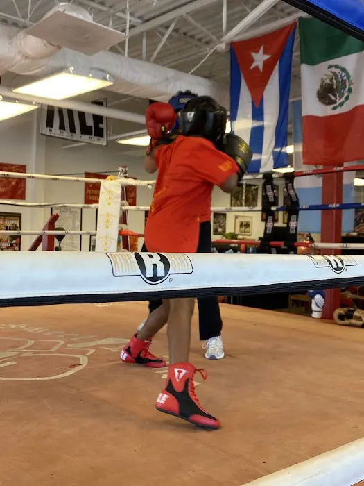 SWEET SCIENCE FITNESS BOXING CLUB Picture 4