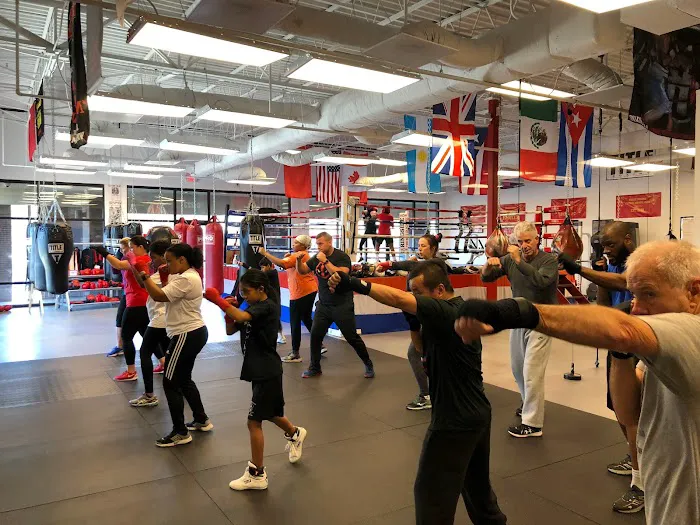 SWEET SCIENCE FITNESS BOXING CLUB Picture 1