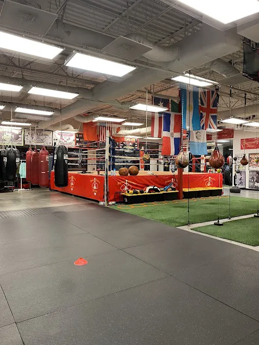 SWEET SCIENCE FITNESS BOXING CLUB Picture 9