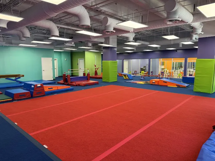 The Little Gym of Brookhaven, GA Picture 5