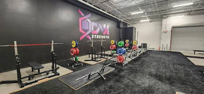 DNA Strength Picture 3