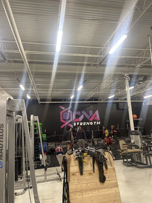 DNA Strength Picture 4