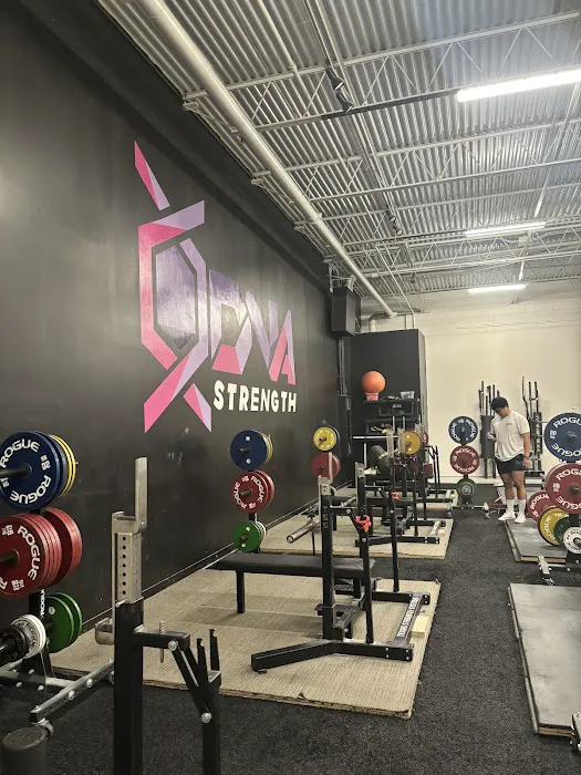 DNA Strength Picture 5