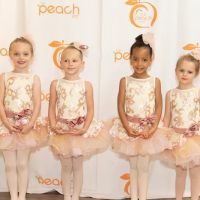 The Peach Pit Brookhaven ico