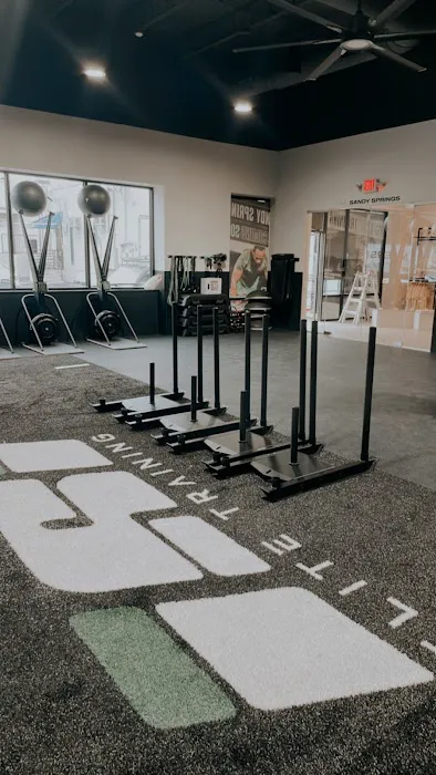 ISI Elite Training - Sandy Springs, GA Picture 10