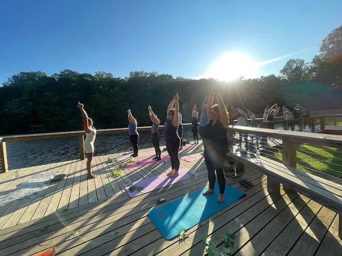 GGA Dwarf Goat Yoga Picture 6