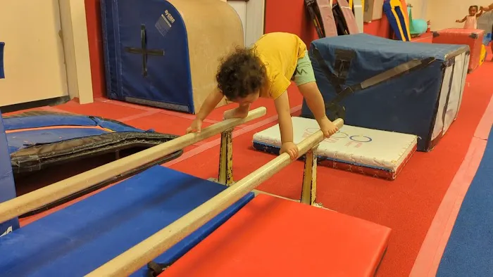 Atlanta School of Gymnastics Picture 8
