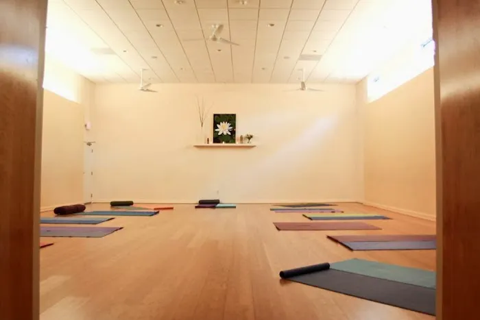 Vista Yoga Picture 5