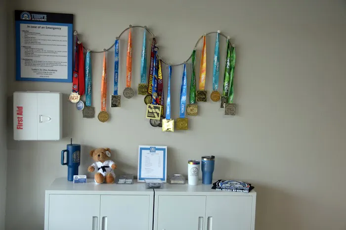 Teddy's Jiu-Jitsu Academy Picture 9