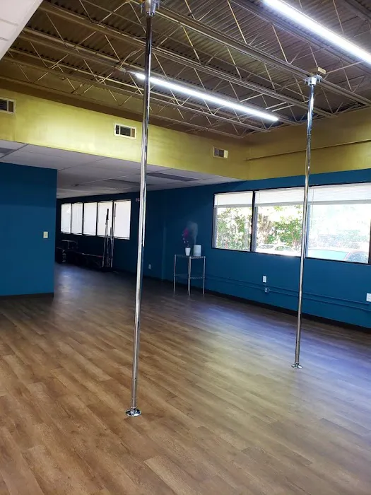 The World Famous Vertical Joes North: Flexibility Center | Private Pole Room Rentals Picture 3
