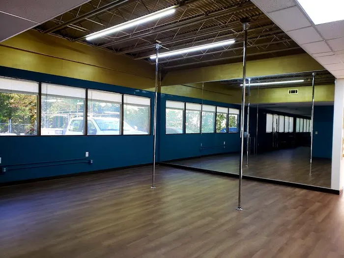 The World Famous Vertical Joes North: Flexibility Center | Private Pole Room Rentals Picture 7