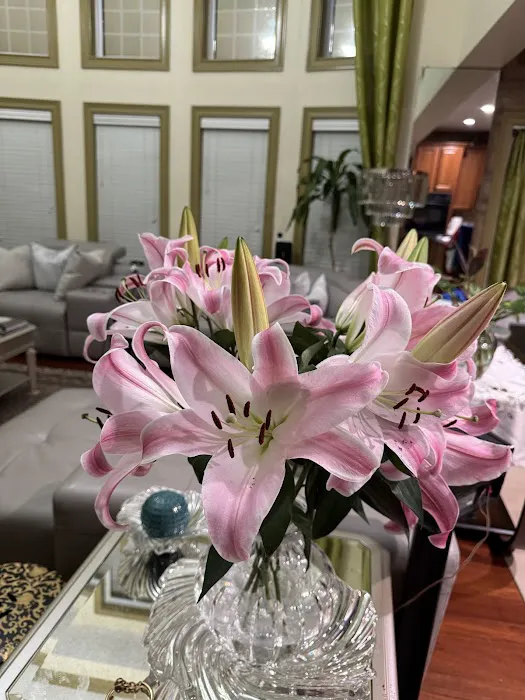 Club Pilates Picture 7