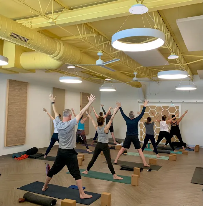 The Yoga Hive Picture 2