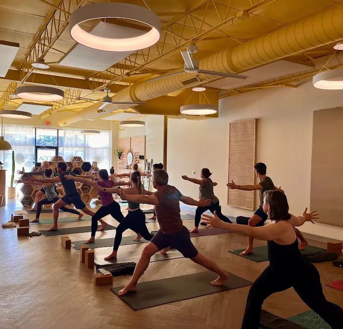 The Yoga Hive Picture 1