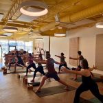 The Yoga Hive