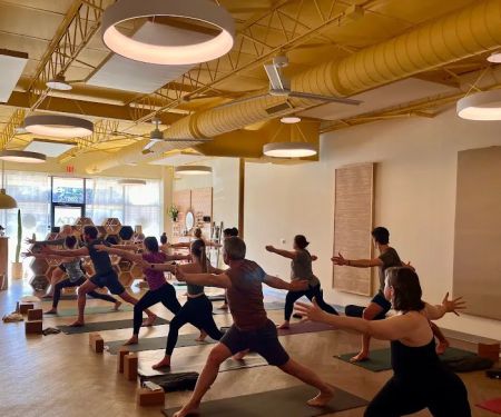 The Yoga Hive