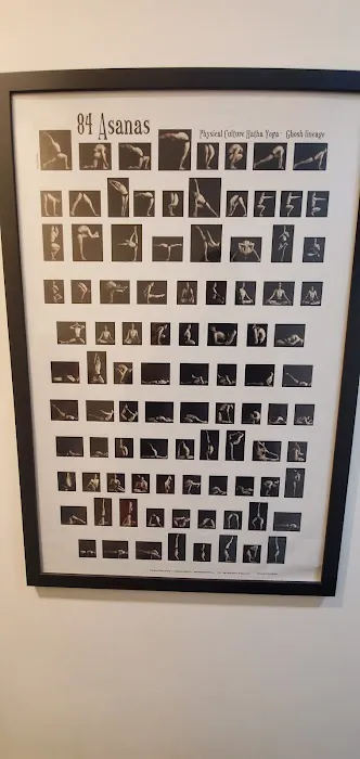 Still Hot Yoga Picture 5