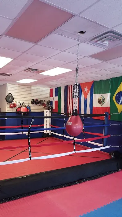 Felipe Boxing Gym Picture 1