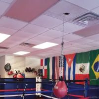 Felipe Boxing Gym ico