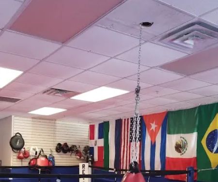 Felipe Boxing Gym