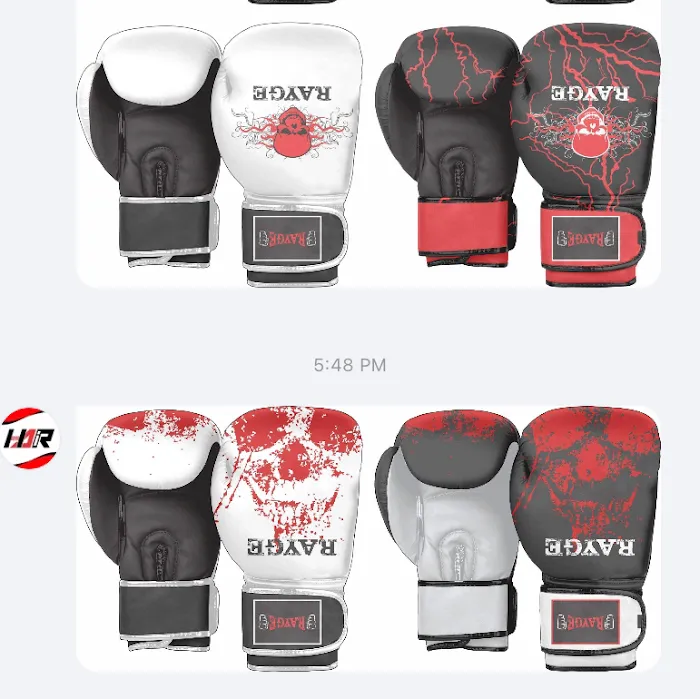 RayGe Boxing Kickboxing Fitness Picture 5