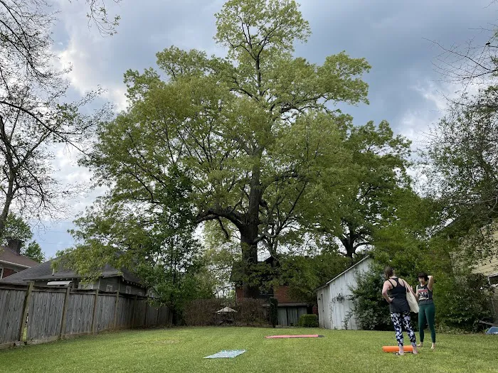 Higher Love Yoga Picture 9