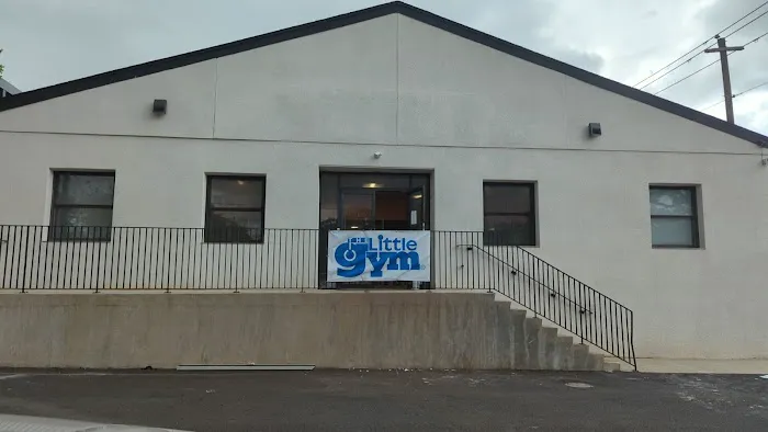 The Little Gym of Decatur Picture 6