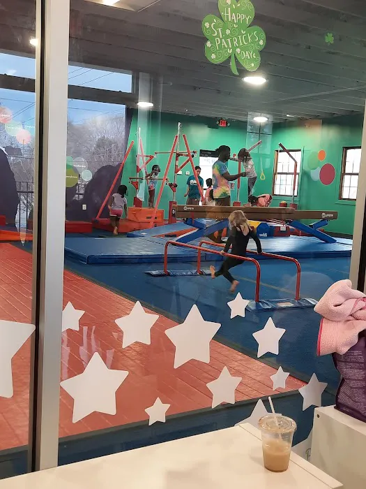 The Little Gym of Decatur Picture 4