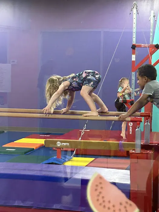 The Little Gym of Decatur Picture 7