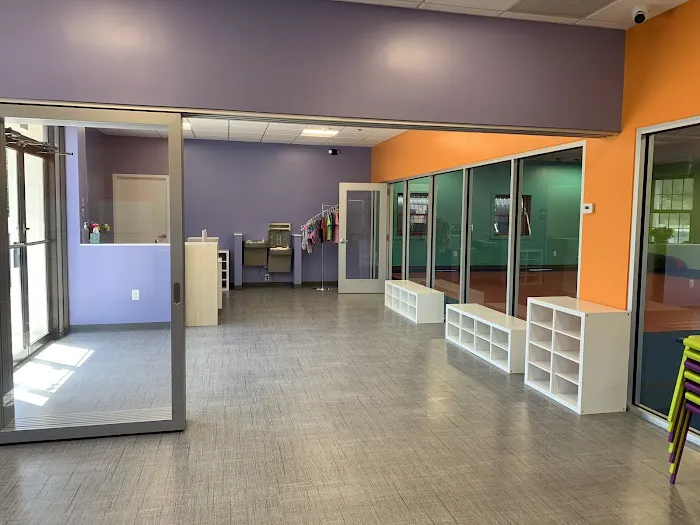 The Little Gym of Decatur Picture 5