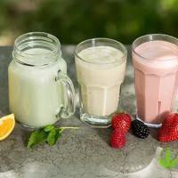 Vida Activa Y Nutrición ico