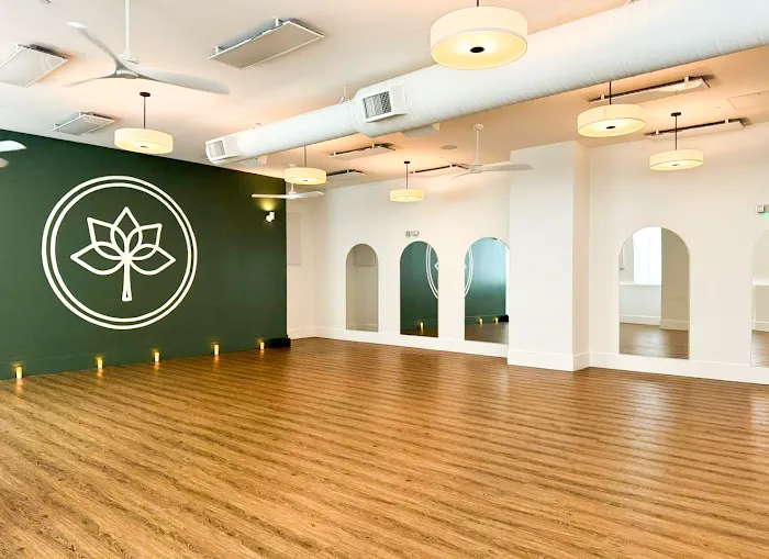 Highland Yoga - Decatur Picture 4