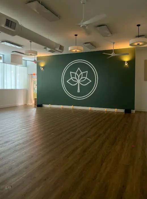 Highland Yoga - Decatur Picture 7