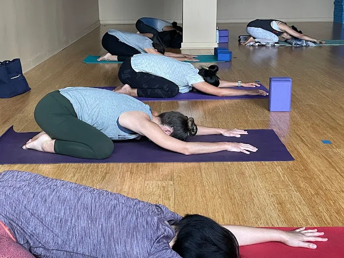 Pure Motion Yoga Picture 10