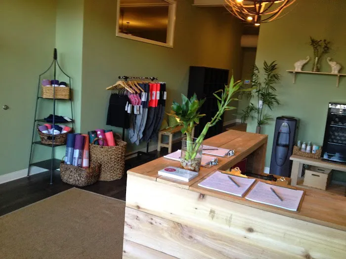 Highland Yoga - Virginia Highland Picture 9