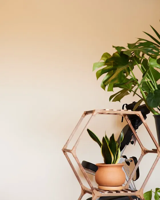 Snap Fitness Decatur Picture 1