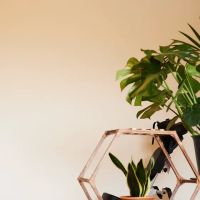 Snap Fitness Decatur ico