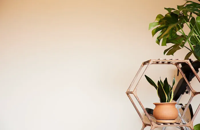 Snap Fitness Decatur Picture 2