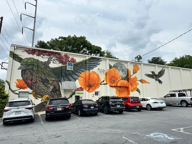 Body Connection Pilates Picture 10