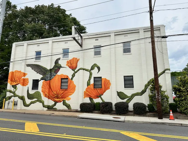 Body Connection Pilates Picture 8