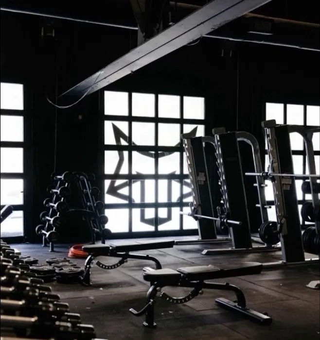 Cut The Fat Now Picture 2